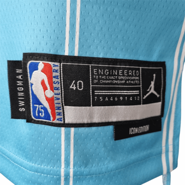 Charlotte Hornets Oubre Jr.#12 NBA Jersey - Image 3