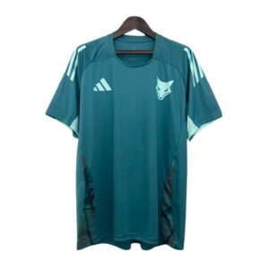25/26 Cruzeiro Training Jersey Fan Version